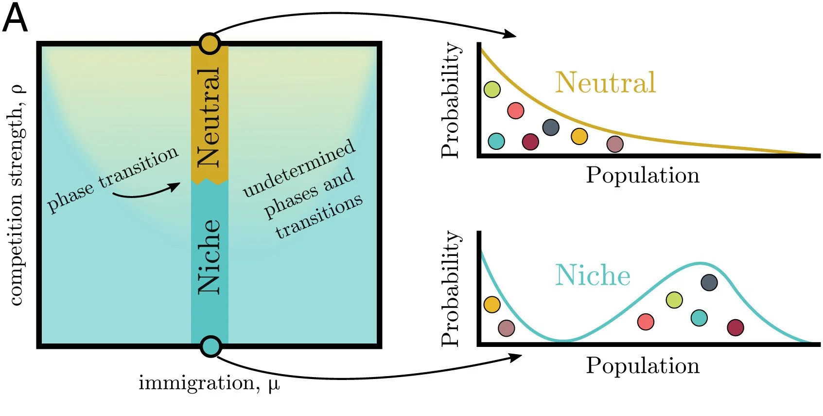 Competitive ecosystems beyond niche and neutral regimes.